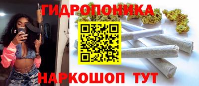 индика Конаково