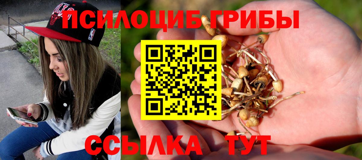 Ипатово  Псилоцибиновые грибы MAGIC MUSHROOMS  Псилоцибиновые грибы мухоморы  Вход с VPN 