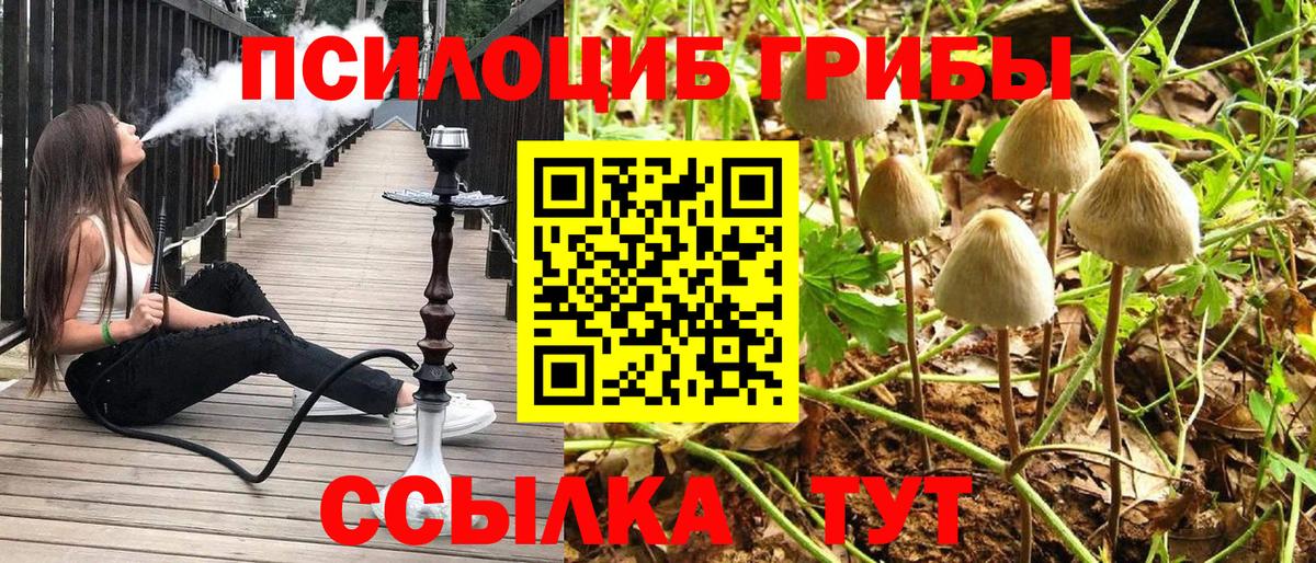 Галлюциногенные грибы MAGIC MUSHROOMS Ипатово